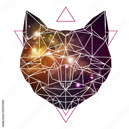 Abstract polygonal tirangle animal cat on open space background. Hipster animal illustration. photo