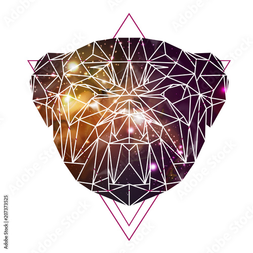 Abstract polygonal tirangle animal bulldog on open space background. Hipster animal illustration. photo