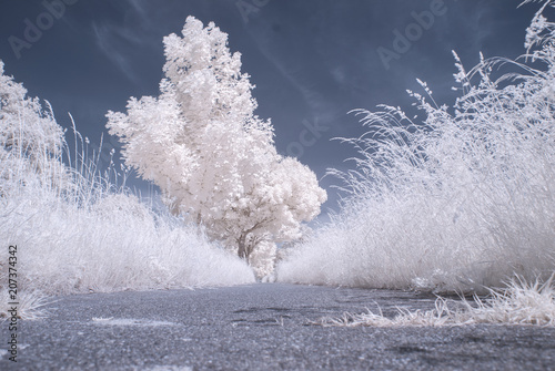 countryside in infrared - Germany photo