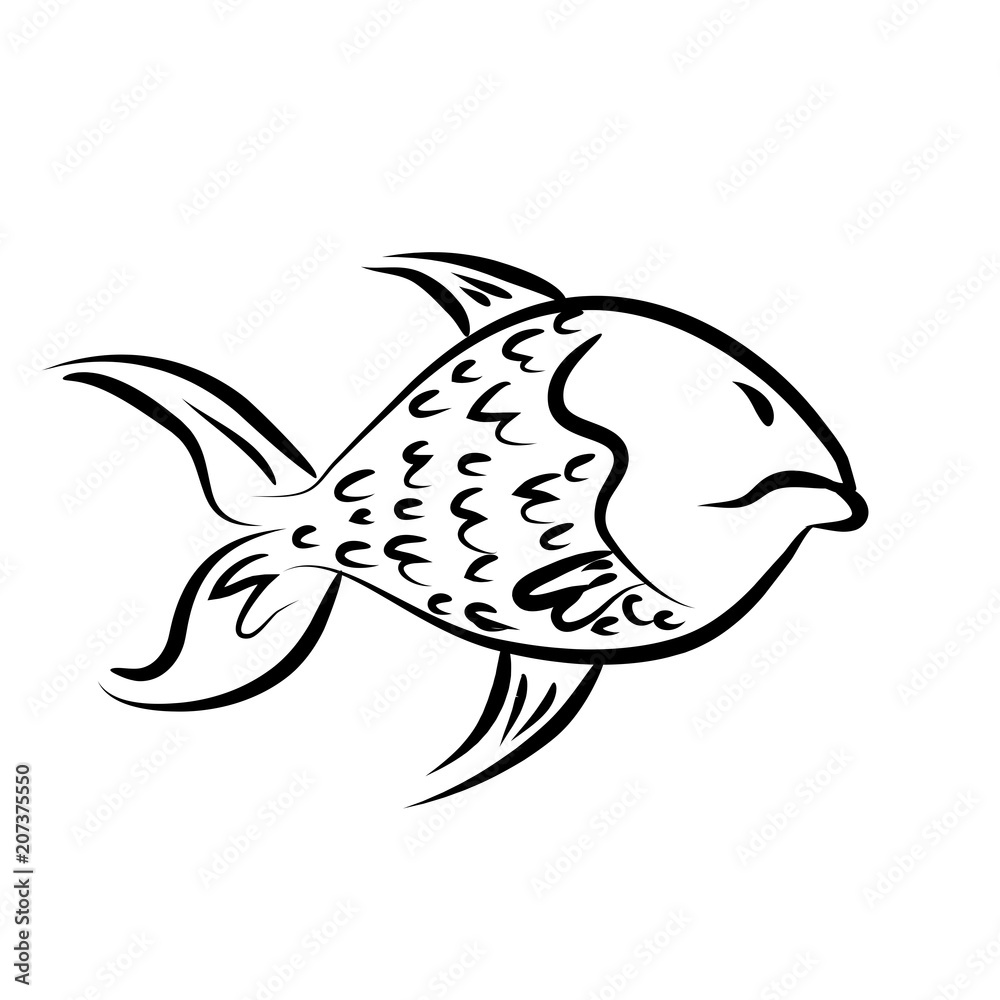 Fototapeta premium fish_style2 lines