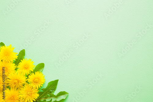 Fresh, yellow dandelions with leaves on pastel green background. Bright colors. Mockup for special offers as advertising or other ideas. Empty place for inspirational, motivational text or quote.