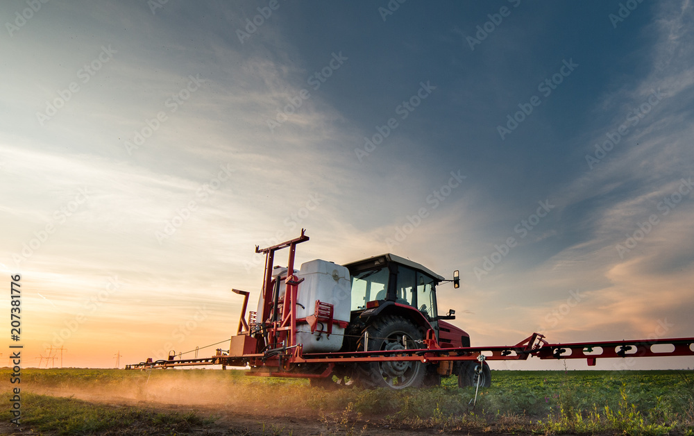 Tractor spraying pesticides on soybean field with sprayer at spring