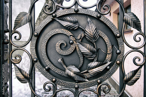 beautiful forged elements for decorating metal doors photo