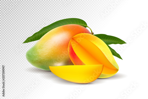 Fresh Mango with slice Isolated On White Background. Vector 3d illustration