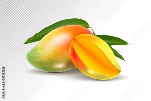 Two fresh realistic mango fruit on a transparent background