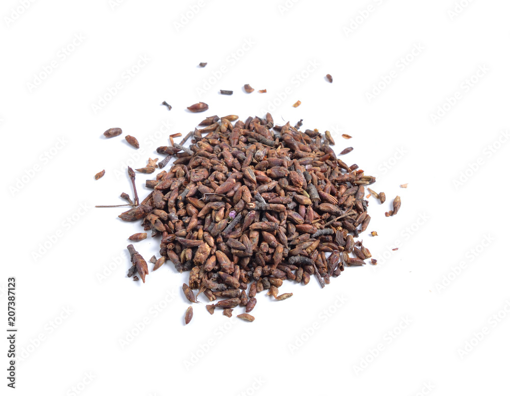Dried medicinal herbs raw materials isolated on white. Buds of Birch or betula. Dried medicinal herbs raw materials isolated on white. Buds of Birch or betula.