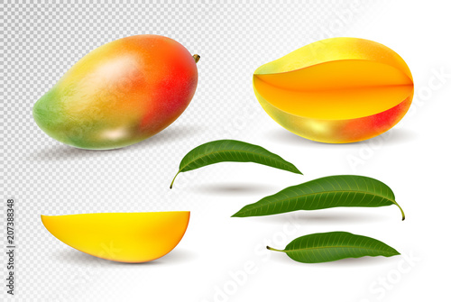 Mango realistic fruit whole and pieces illustration