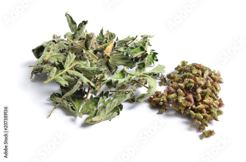 Dried medicinal herbs raw materials isolated on white. Leaves with Seed of Agrimonia eupatoria
