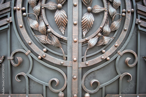 Forged decorative elements of the metal gate photo