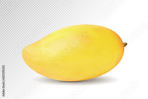 3D realistic yellow mango on transparent background, mesh vector illustration.