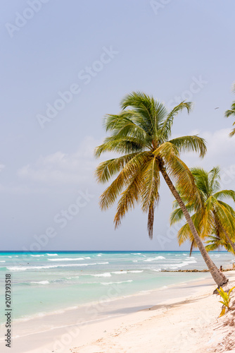 Fototapeta Naklejka Na Ścianę i Meble -  SAONA, DOMINICAN REPUBLIC - MAY 25, 2017: View of the sandy beach of the island Saona. Copy space for text. Vertical.