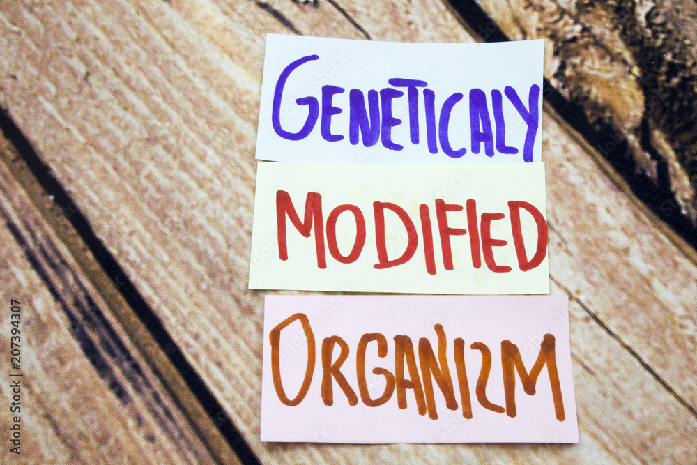 Fototapeta premium GMO or geneticaly modified organizm handwritten sign on the white paper with retro wooden background. Messages about health and gmo. Agriculture business conceptual signs.
