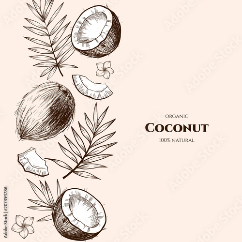 Vector frame with coconuts and tropical leaves .Hand drawn. Vintage style