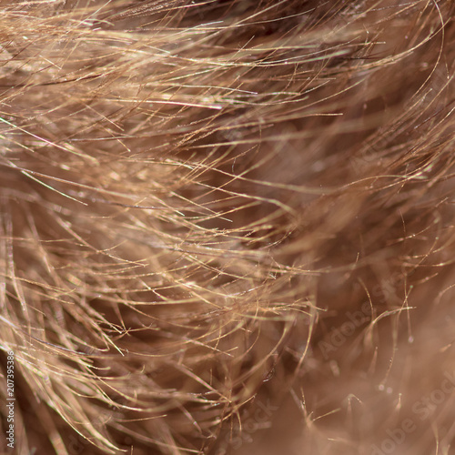 Feathers at the eagle as a background