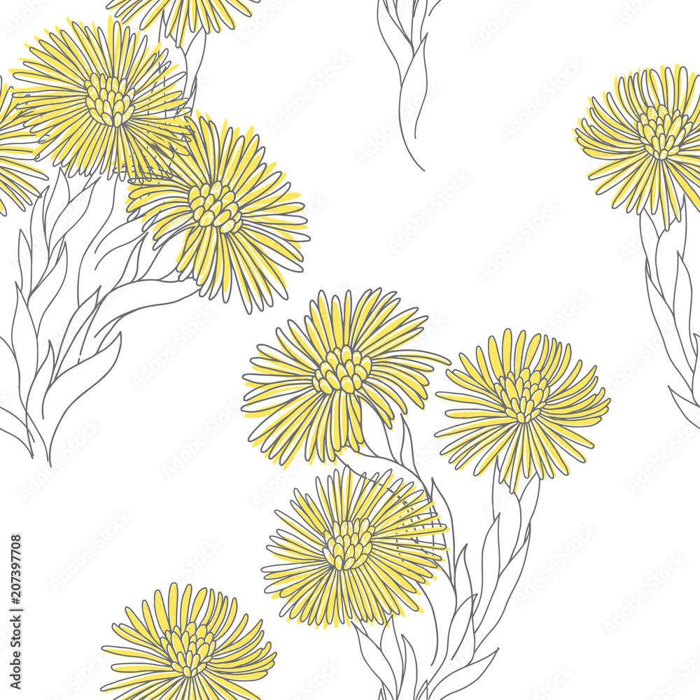 Obraz premium Coltsfoot. Seamless pattern with hand-drawn flowers on a white background. Vector illustration.