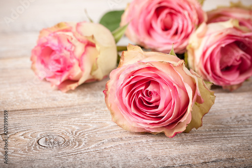 Fresh pink roses on wooden table