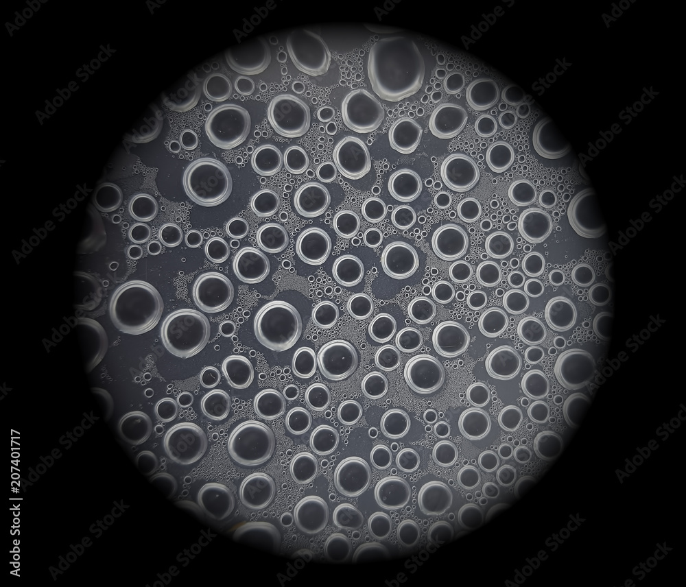 closeup of abstract rain drops on black background closeup of abstract rain drops on black background