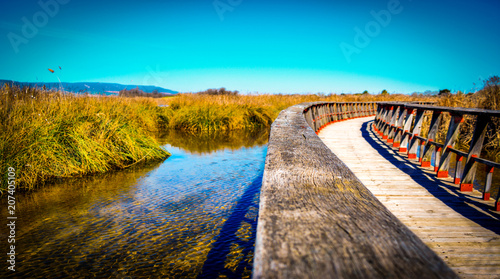 Puente en Tablas de Daimiel, Ciudad Real, Castilla la Mancha, España. Paraje natural hermoso lleno de vida y agua, en un lugar tan seco como La Mancha. photo