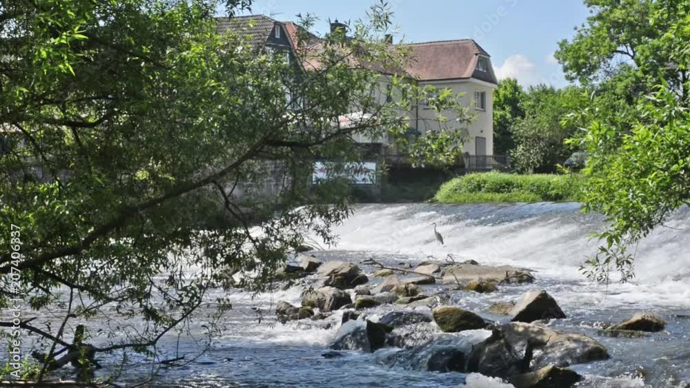 the river Lahn in Marburg Germany with floating water the river Lahn in Marburg Germany with floating water