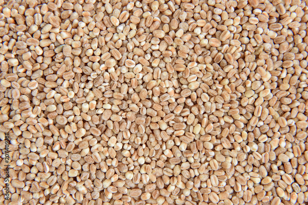 Wheat isolated on white background. Wheat isolated on white background.