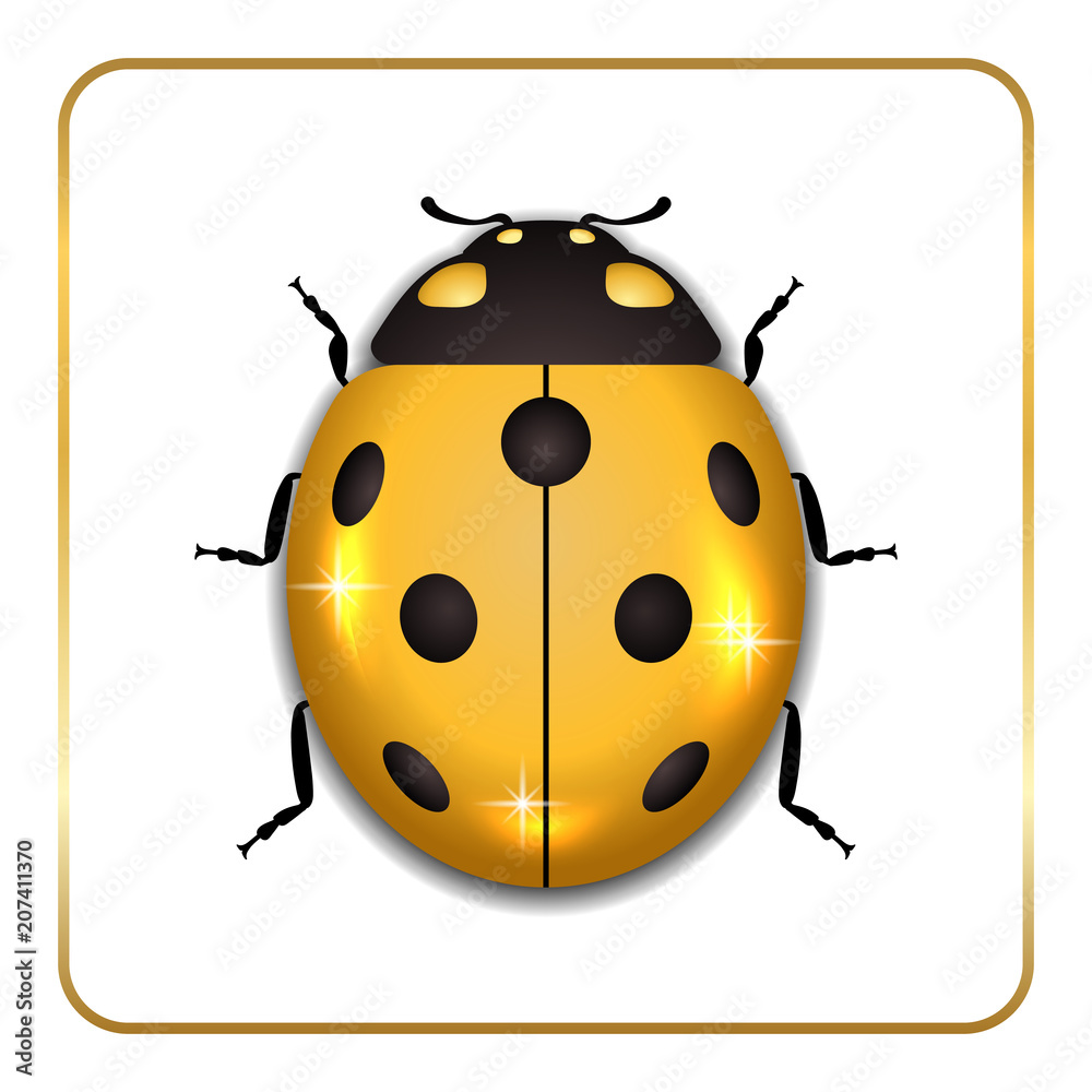 Obraz premium Ladybug gold insect small icon. Golden lady bug animal sign, isolated on white background. 3d volume design. Cute jewelry ladybird design. Cartoon lady bird closeup beetle. Vector illustration