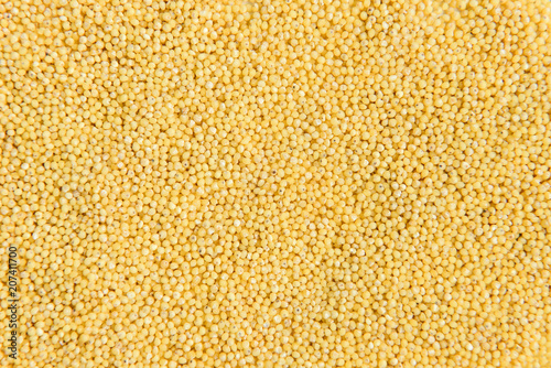 Millet isolated on white background.
