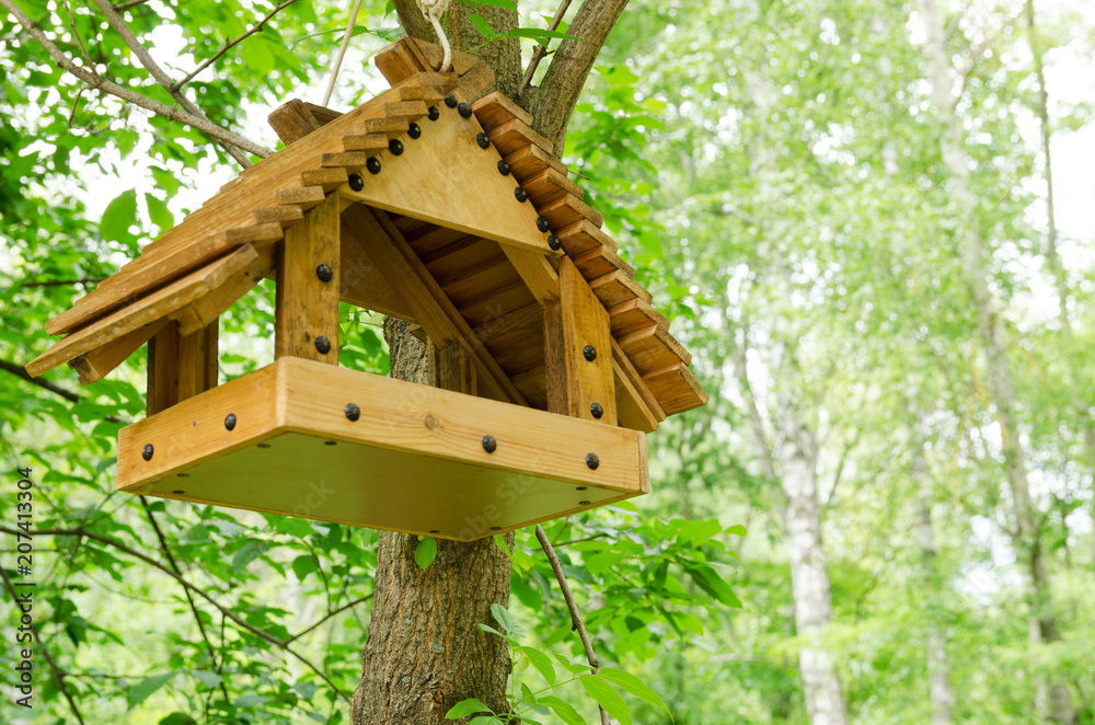 bird feeder on a tree in the spring forest bird feeder on a tree in the spring forest