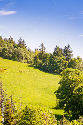 A green and fresh clearing in the mountains surrounded by trees. A beautiful blue sky in the background