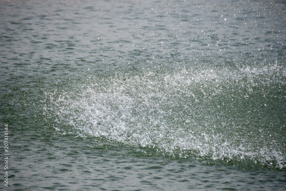 Fototapeta premium Splash of fountain in the pond 
