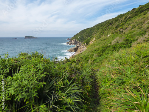 A view from the hiking path on the coast of Morro dos Ingleses - atlantic forest, rocks and ocean (Florianopolis, Brazil)