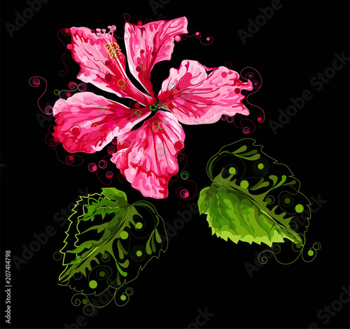 abstract hibiscus flower on black background