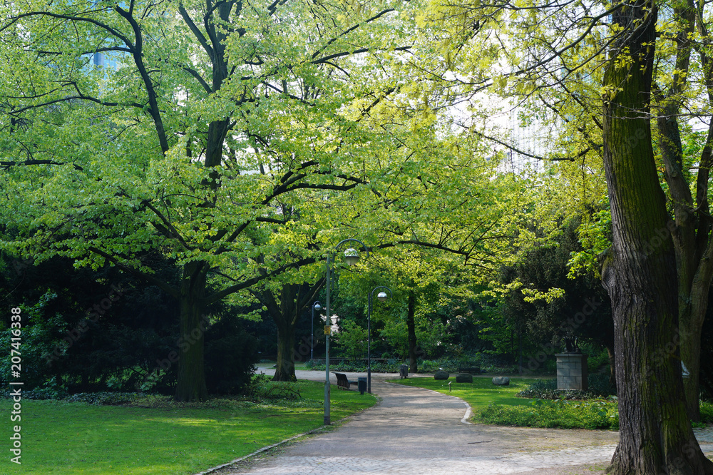 Picturesque avenue with trees in the park.