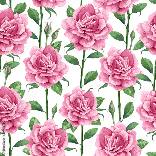 Rose flowers, petals and leaves in watercolor style on white background. Seamless pattern for textile, wrapping paper, package,