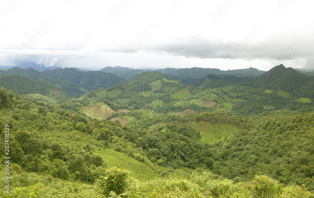 Naklejka premium Mountain expanses Lush, rainy season