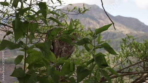 Volcano Batur on a trpoical island of Bali, Indonesia. photo