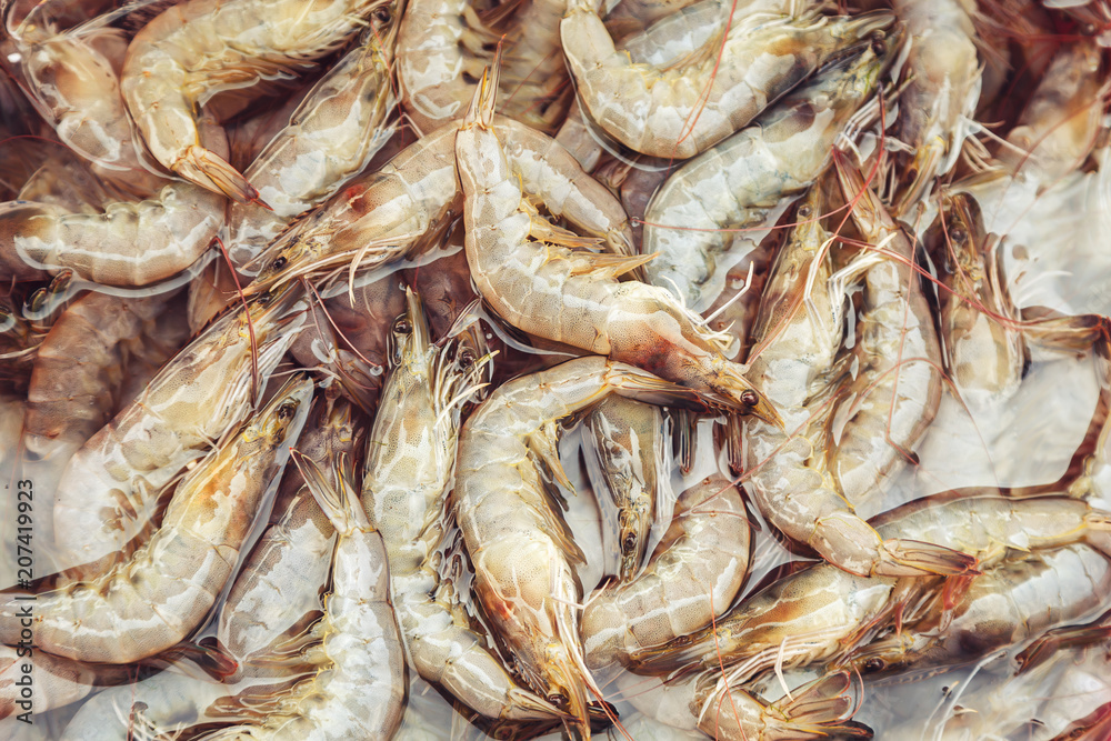 Fresh raw shrimp in the fish market. Fresh raw shrimp in the fish market.