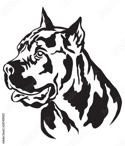 Decorative portrait of Cane Corso Italiano vector illustration