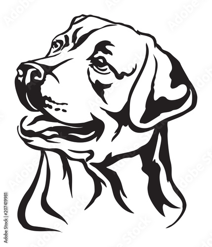 Decorative portrait of Labrador Retriever vector illustration