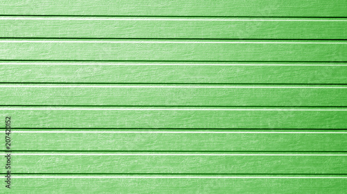 Plastic siding wall texture in green color.