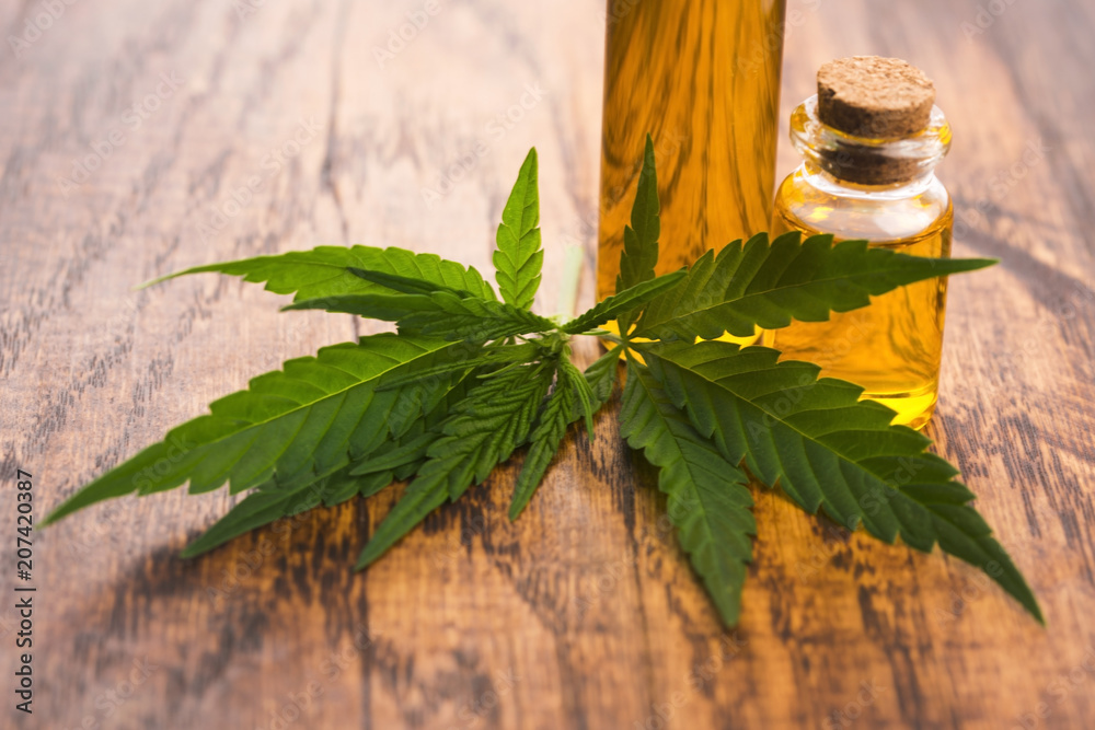 marijuana plant and cannabis oil marijuana plant and cannabis oil