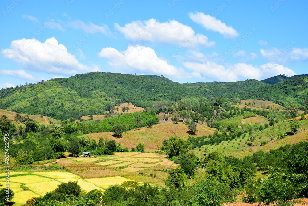 Beautiful scenery in the countryside in Thailand