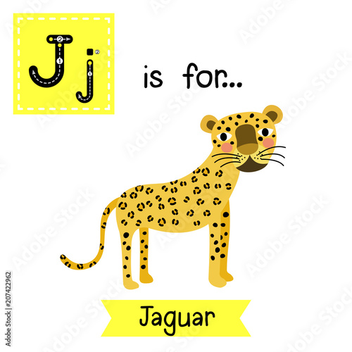 Cute children zoo alphabet J letter tracing of Jaguar for kids learning English vocabulary. Vector illustration.
