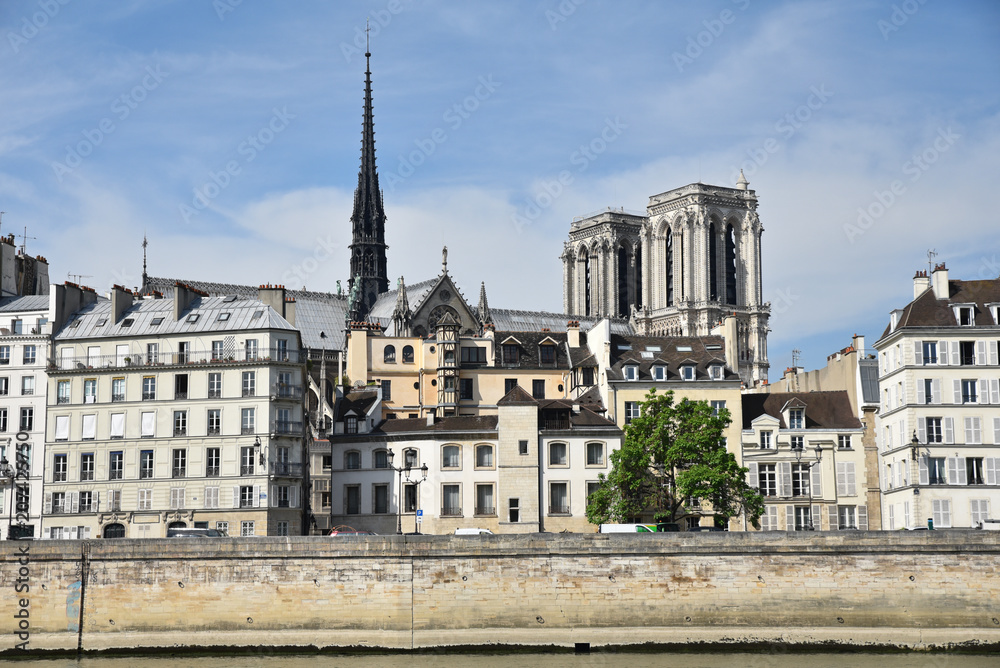 Obraz premium Tours e Notre-Dame et île de la Cité à Paris, France