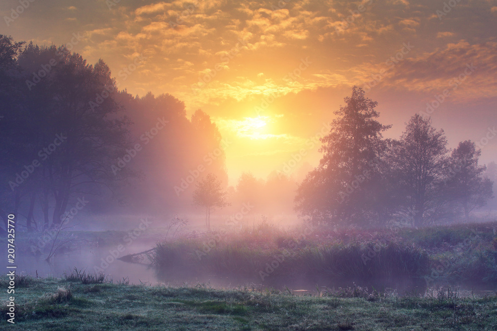 Landscape of amazing summer nature in early foggy morning on sunrise. Trees on river bank in mist on warm sunlight background. Perfect scene of Wild nature at dawn. Colorful sky over forest and river.