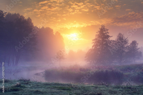 Obraz na płótnie Landscape of amazing summer nature in early foggy morning on sunrise. Trees on river bank in mist on warm sunlight background. Perfect scene of Wild nature at dawn. Colorful sky over forest and river. w salonie