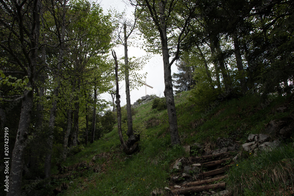 Fototapeta premium Rabenkopf Bayern