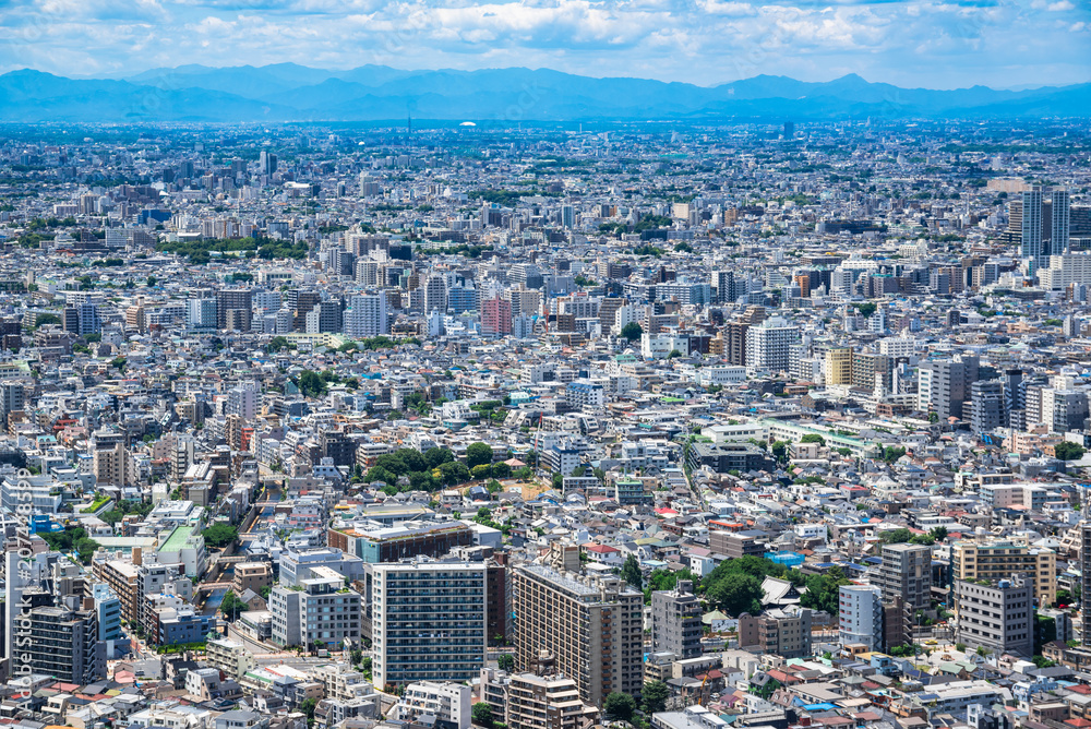 東京　住宅が密集する都市風景