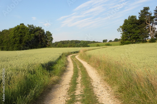 Bocage