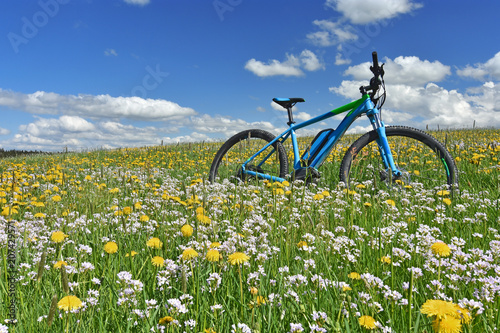 Fototapeta Naklejka Na Ścianę i Meble -  Bicycle in a colorful spring meadow with yellow dandelions and white cuckoo flowers under blue sky
