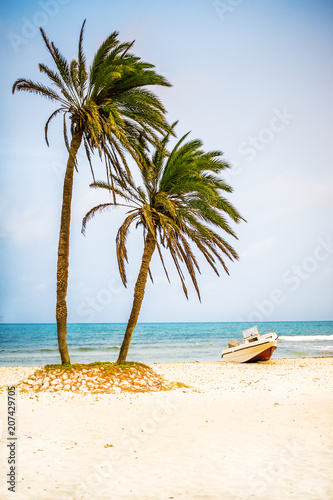 palm trees on white sand beach and powerboat